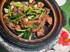 -煲煲好(朝阳门店)