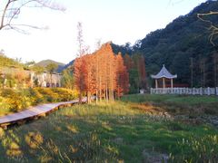 -广州市石门国家森林公园