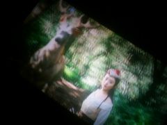 -佳兆业国际影城(鞍山店)