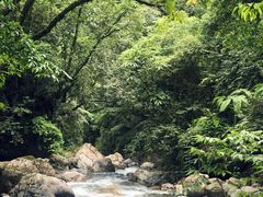 -西岭雪山大飞水景区