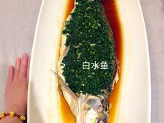 -新光酒家·河豚·海鲜·蟹料理(浦东店)