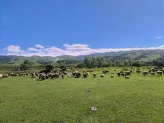 -新疆那拉提国家旅游度假区