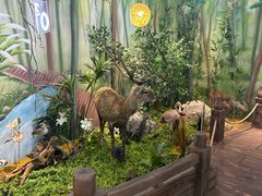 -西霞口神雕山野生动物世界