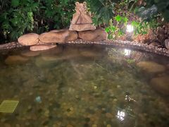 -天目湖涵田度假村