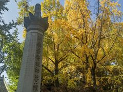-成都市文殊院