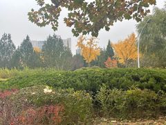 -滨河世纪广场公园