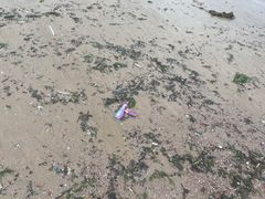 -青岛第三海水浴场