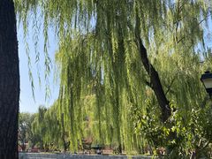 -东华门大街小区