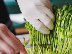 -喃喃椰·糟粕醋椰子鸡火锅(七堡花园店)