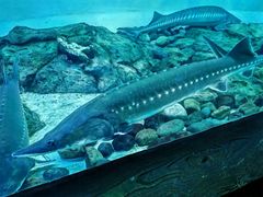 -太平洋海底世界