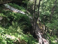 -青峰峡国家森林公园