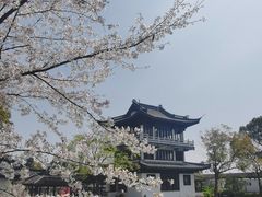 -无锡蠡湖国家湿地公园-蠡园