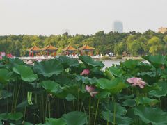 -长春市南湖公园