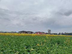 -中国天府农业博览园