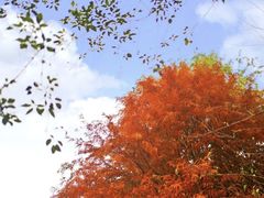 -涂山寺素食餐厅