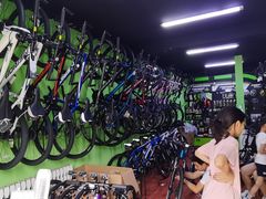 -美利达自行车(天通西苑一区店)