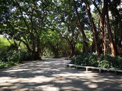 -人民公园(罗湖区)