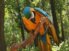 -北京野生动物园