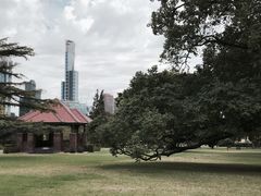 -墨尔本皇家植物园