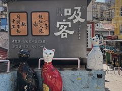 -猫咪博物馆(顶澳仔猫街店)