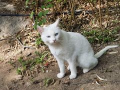 -崂山九水游览区