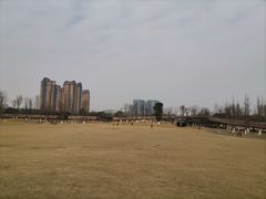 -府河摄影公园