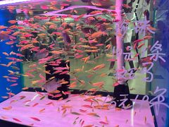 -三旗百汇商品城