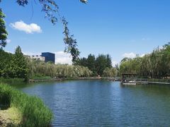 -中关村生命科学园