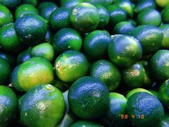 -鸿港海鲜批发市场