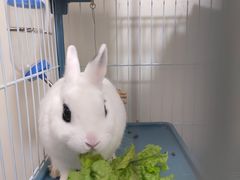 -半天妖烤鱼(西铁营万达店)