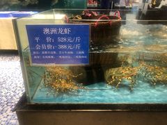 -都市阳光海鲜城(青山湖店)