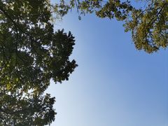 -华农酸奶文化馆