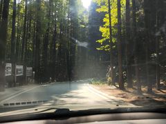 -山王坪喀斯特国家生态公园