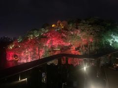 -璟象酒店-爱丽坊景观餐厅