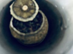 -黄浦区瑞金二路社区文化活动中心