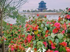 -阳澄湖半岛旅游度假区