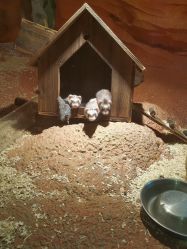 -酷嗒动物文化乐园(cutezoo西溪乐天城店)