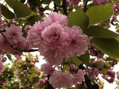 -苏州河梦清园环保主题公园