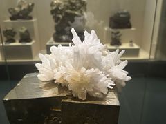 -安徽省地质博物馆