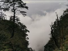 -峨眉山风景名胜区