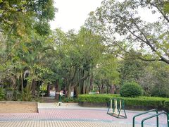 -滴水岩森林公园
