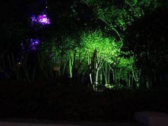 -郑州方特梦幻王国