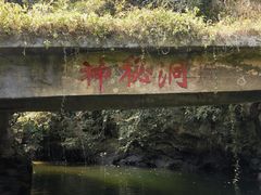 -万泉河漂流
