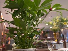 -旺顺阁·北京菜·烤鸭(大望路店)