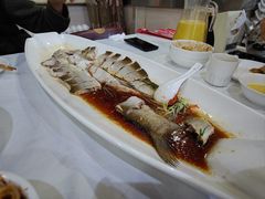 -九头鸟酒家(东高地店)