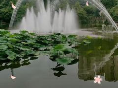 -龙头寺公园