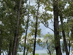 -大理洱海
