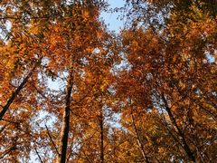 -白鹭湾湿地公园