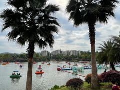 -枫香湖儿童公园