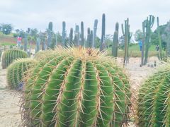 -东莞植物园